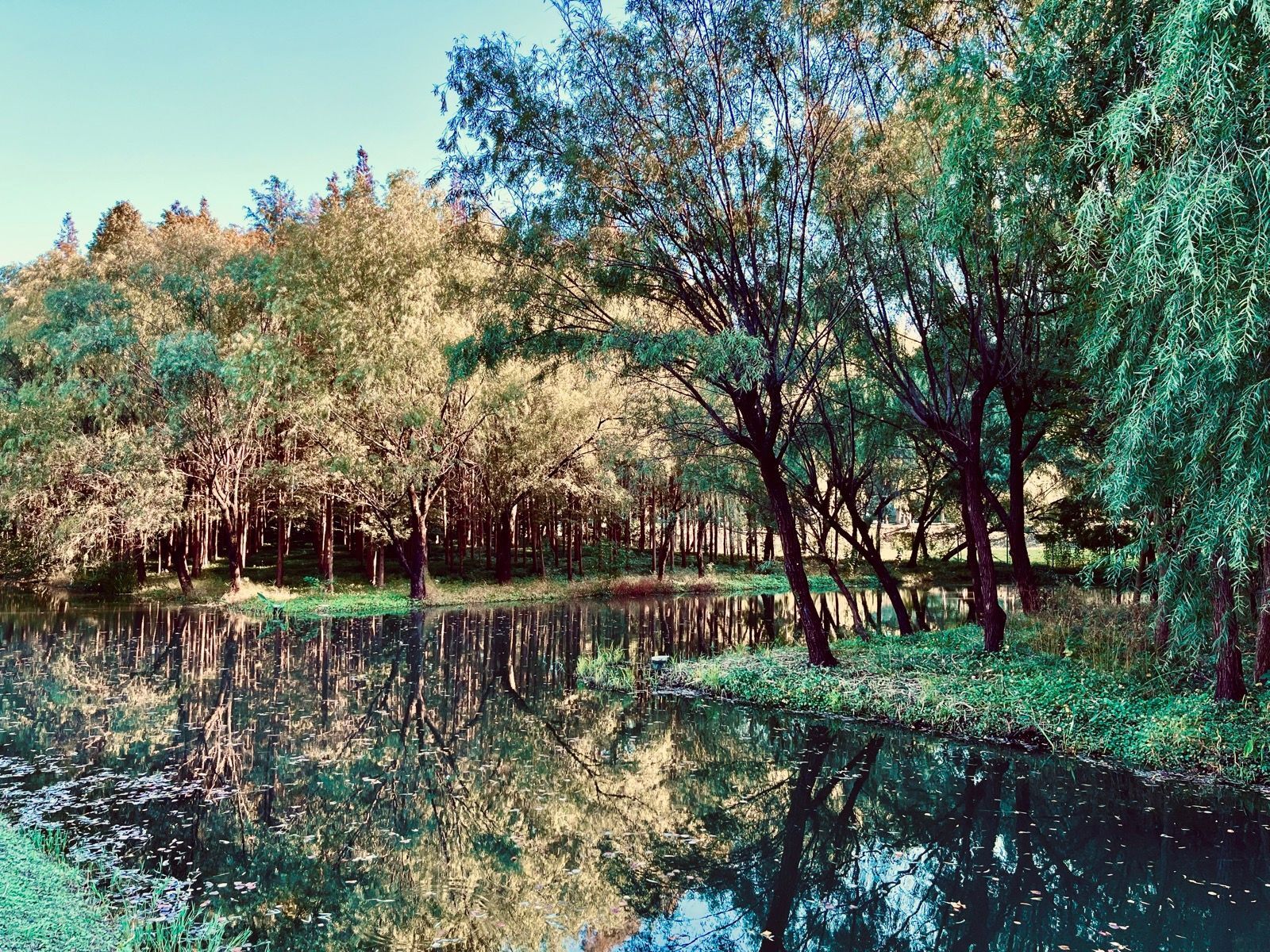 KQMEq0ggsQYo5JahocxF8YfjBYjOfHVgkSFo1kbFRa8-2048x1536-1