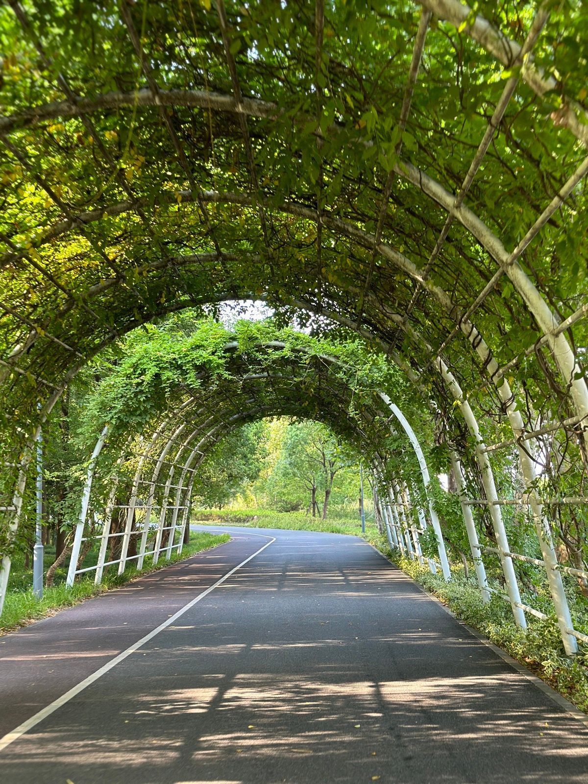 sxFNBJP-8YROgDDbUOFUK3-cUQJo7Oo_zAem_odrzCY-1536x2048