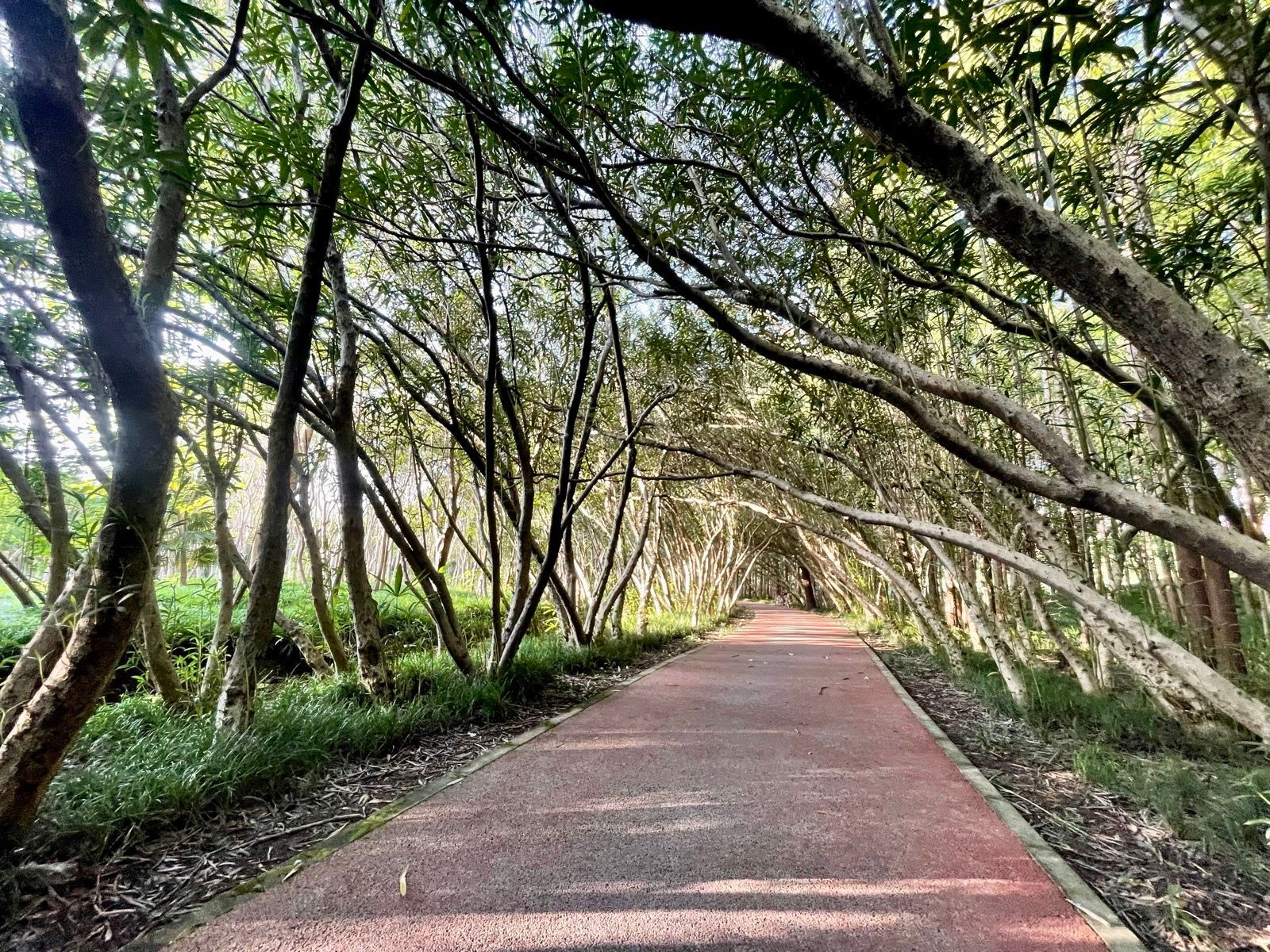 tnPwiqx5sKwrMrbuSxhSzHGqx8jV0DS6XyOs3WuOGFI-2048x1536